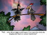Click for larger image.